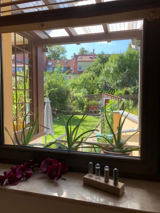 Ferienwohnung An Der Gruenen Clara Эрфурт Экстерьер фото